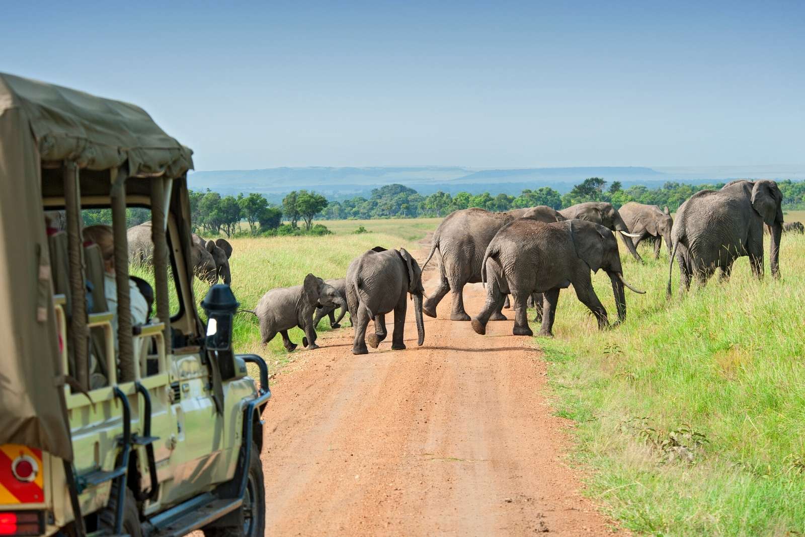 Game Drives