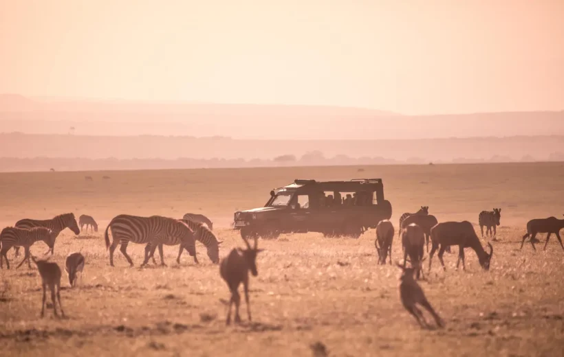 8 Days, 7nights Maasai Mara - Spirit Of The Mara