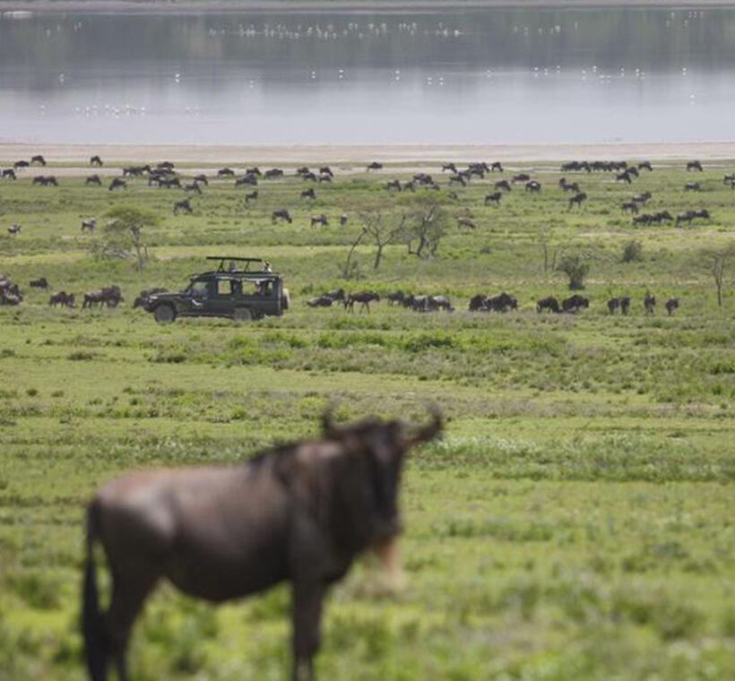 East Africa’s Mara, Crater & Serengeti Migration Safari