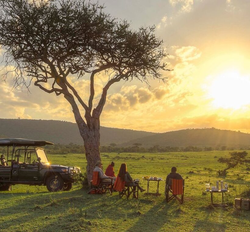 “Unforgettable African Safari Adventures: Discover the Best Tours, Packages & Custom Itineraries at Stories Experiences Travel”