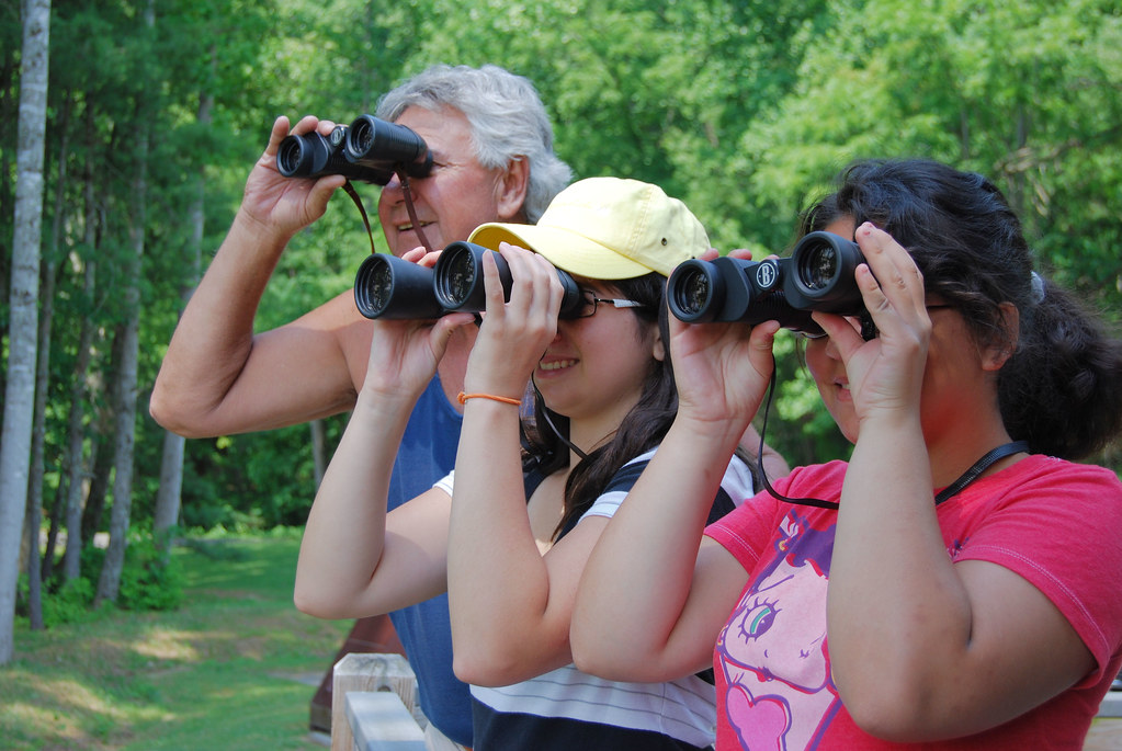 Tips for ⁢Birdwatchers: How⁤ to Spot‍ and Identify Yellow-crowned Canaries in Masai ‌Mara ‍National Park