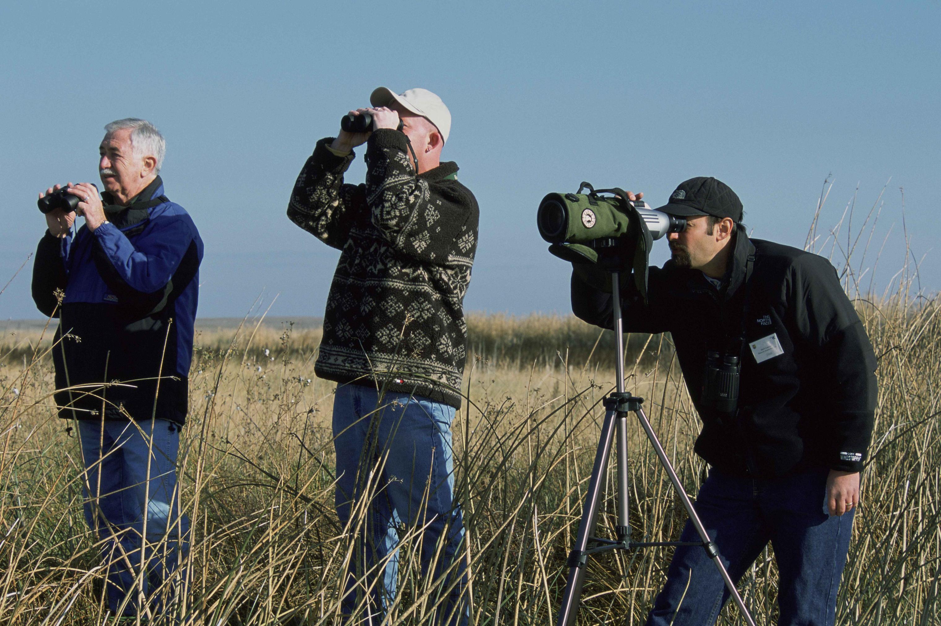 Tips for ⁢Birdwatching‍ and Spotting the ⁢Red-faced Cisticola in Masai Mara National Park