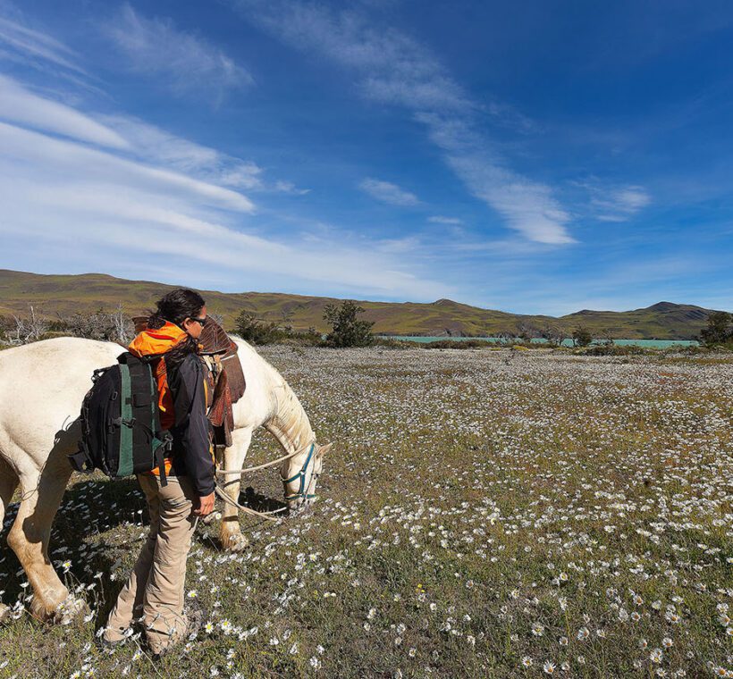 Can I find horseback safari packages for families in Maasai Mara?