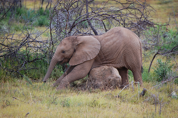 Do you offer multi-park game drive packages that include Maasai Mara and other reserves in Maasai Mara?