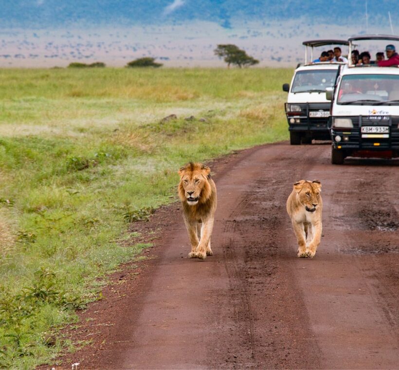 Can I request a camping itinerary that includes visits to Maasai Mara’s geological wonders and formations?