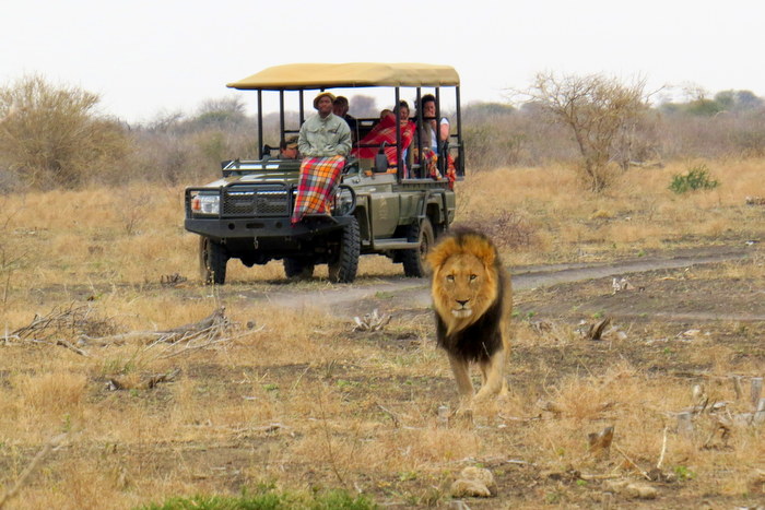 How do you handle emergencies, like landing in an unexpected location, during the safari in Maasai Mara?