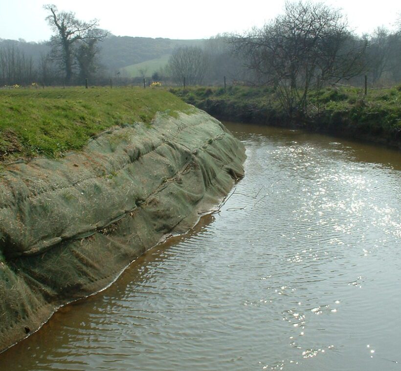 Can I spot rare and endemic plant species along the riverbanks in Maasai Mara?