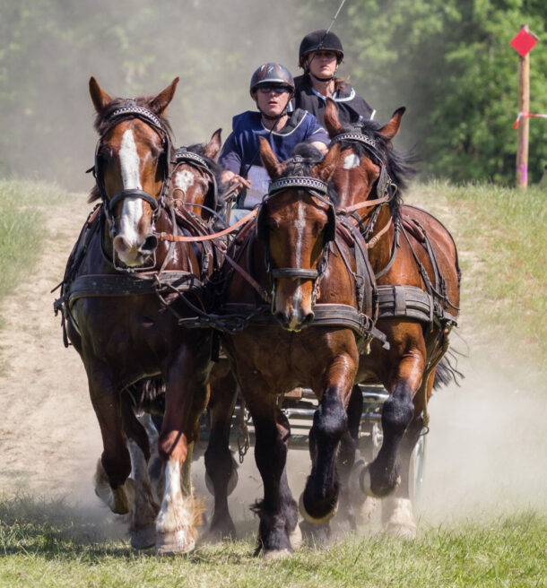 Are horseback safaris eco-friendly in Maasai Mara?