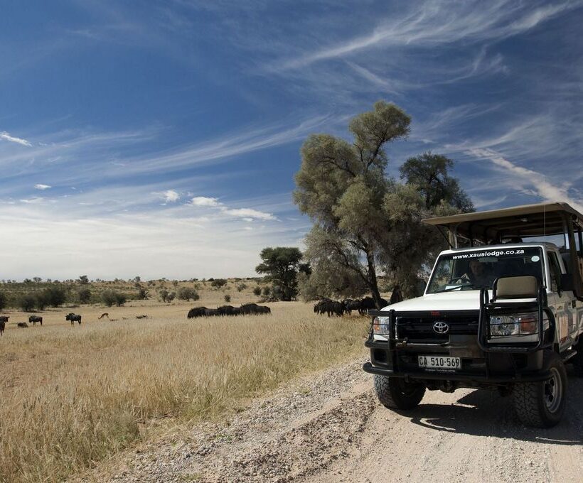 Can I request a specialized game drive for tracking specific animals or behavior in Maasai Mara?