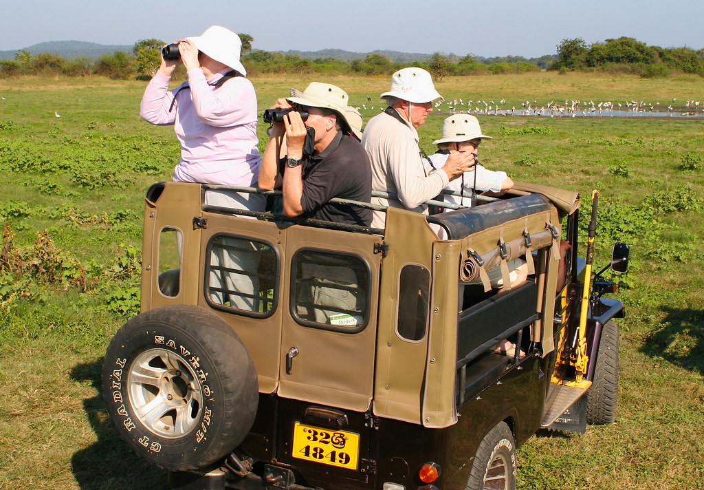 Ensure ‌an Authentic Safari Experience ⁤with Multi-Park Game Drive‍ Packages