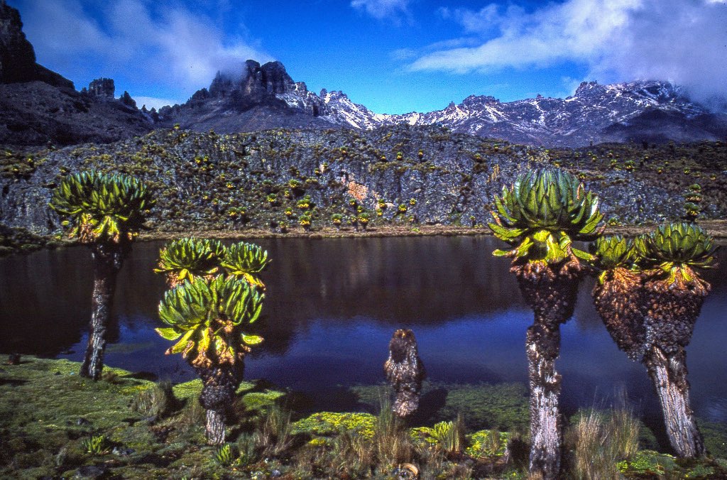 Exploring the Spiritual Side: Unraveling the Mystique ​of Mount Kenya's Spiritual Treks