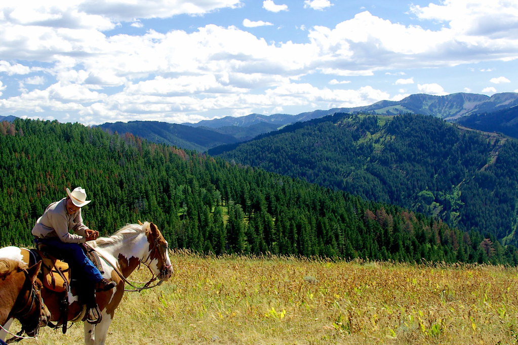 Horseback Safari Packages: A Fun and Adventurous Family⁢ Experience in Maasai Mara