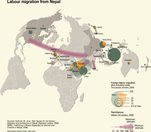 - Understanding the Migration Patterns of ⁤the Common⁤ Sandpiper