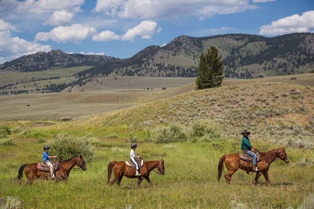 Guidelines and⁣ Precautions for a Safe Horseback Safari in Maasai Mara