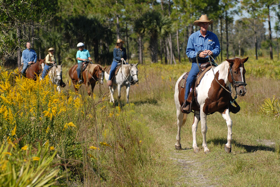 2. Understanding the Unique Opportunities for Horseback Safaris during Maasai Mara's Calving Season