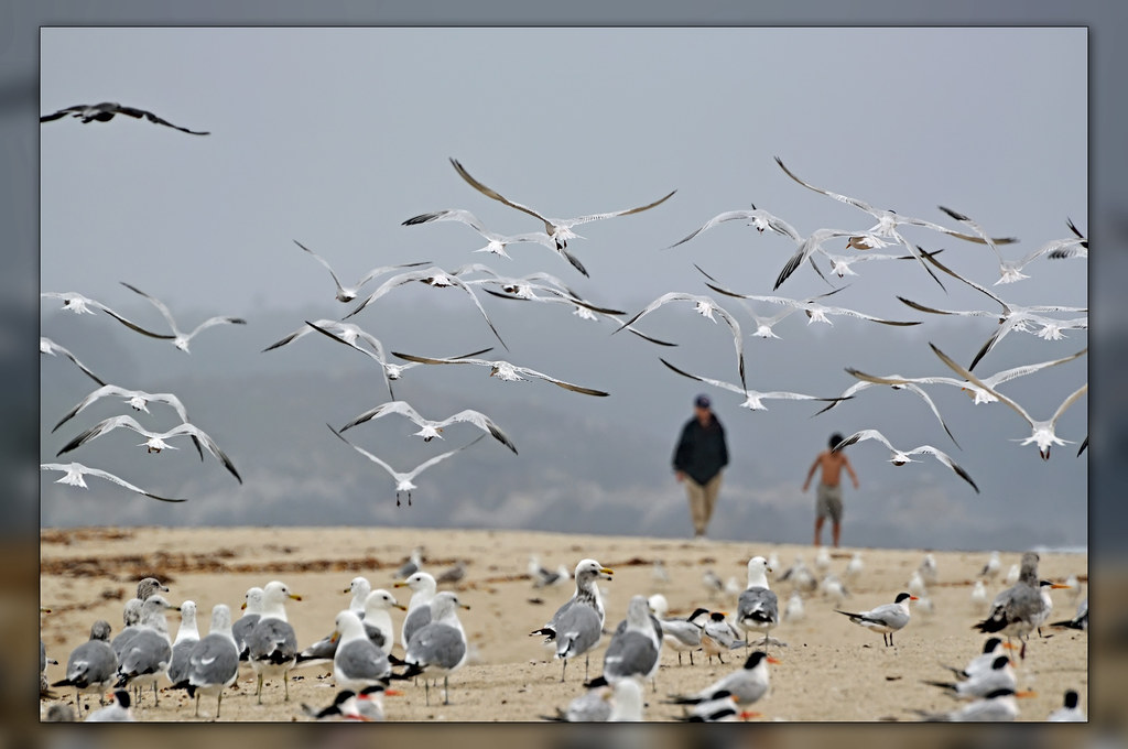 A Closer Look:‍ Understanding Bird-watching Opportunities ‌during​ River​ Safaris in Maasai Mara