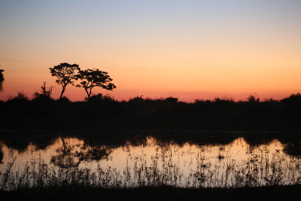 6. Important Considerations: Tips and Precautions for a‌ Safe and Enjoyable Sunset⁢ River Safari in Maasai Mara