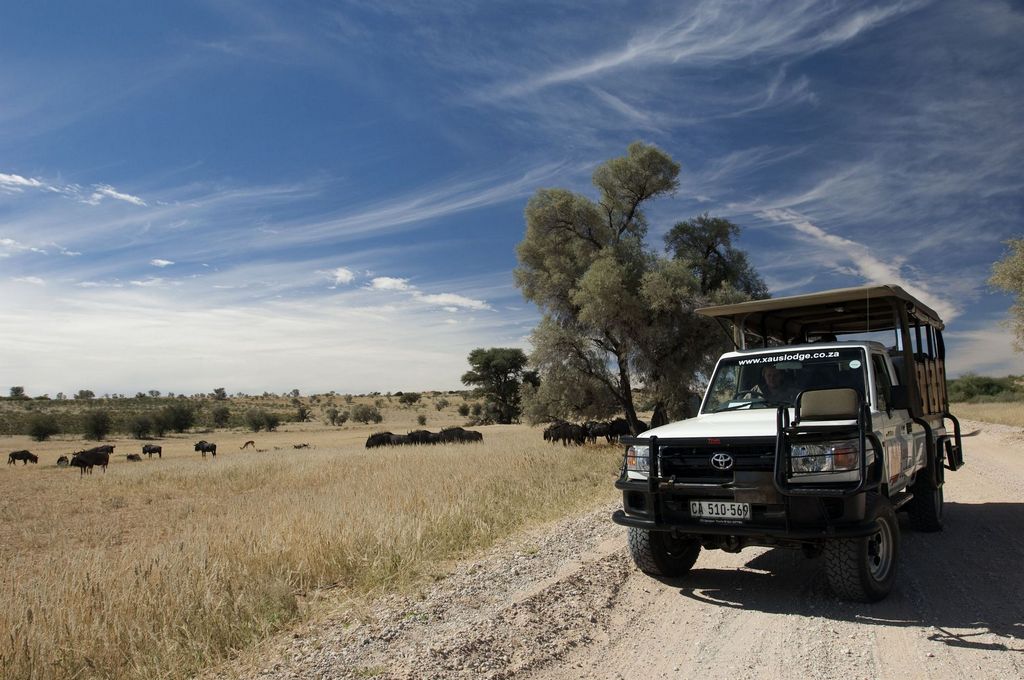 1.‍ The Significance of Game Drives: Understanding ⁢the⁣ Role of⁢ Wildlife Population Surveys in ⁤Maasai Mara