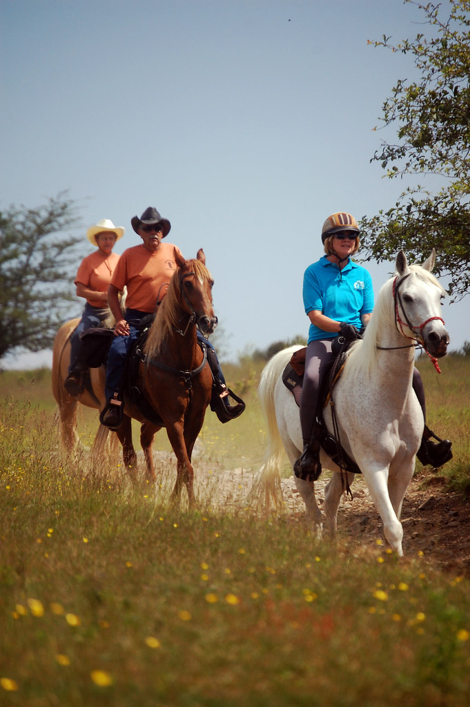 Horseback Safari Guide ⁣for Photographers: Unforgettable Experiences in Masai ‍Mara