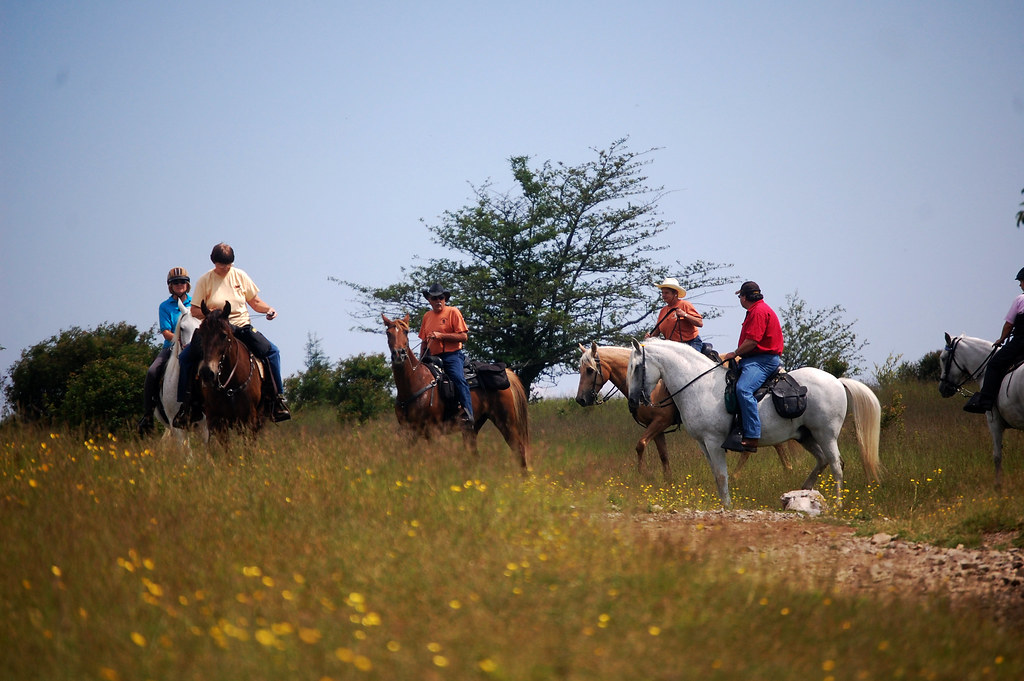 Horseback⁤ Safari⁣ Photography: A Unique Perspective on​ Masai Mara National​ Park