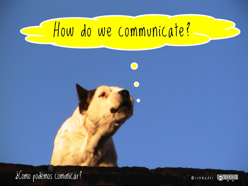 - Decode the Language: Insights into Animal Communication during Game ‌Drives