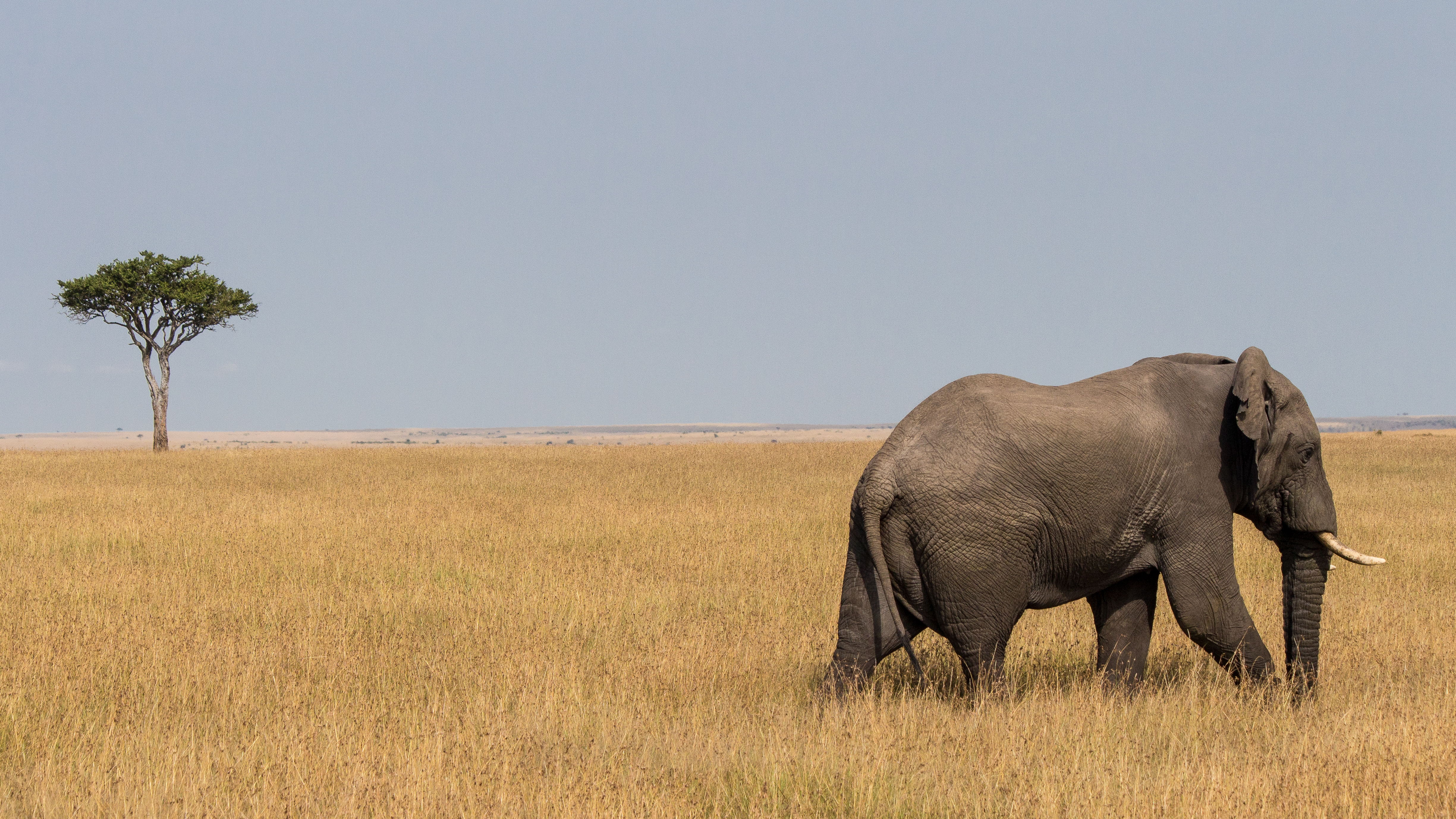 Witness the Magnificent Formations of Maasai Mara:​ Unraveling ‌Nature's ​Masterpieces and Geological Marvels