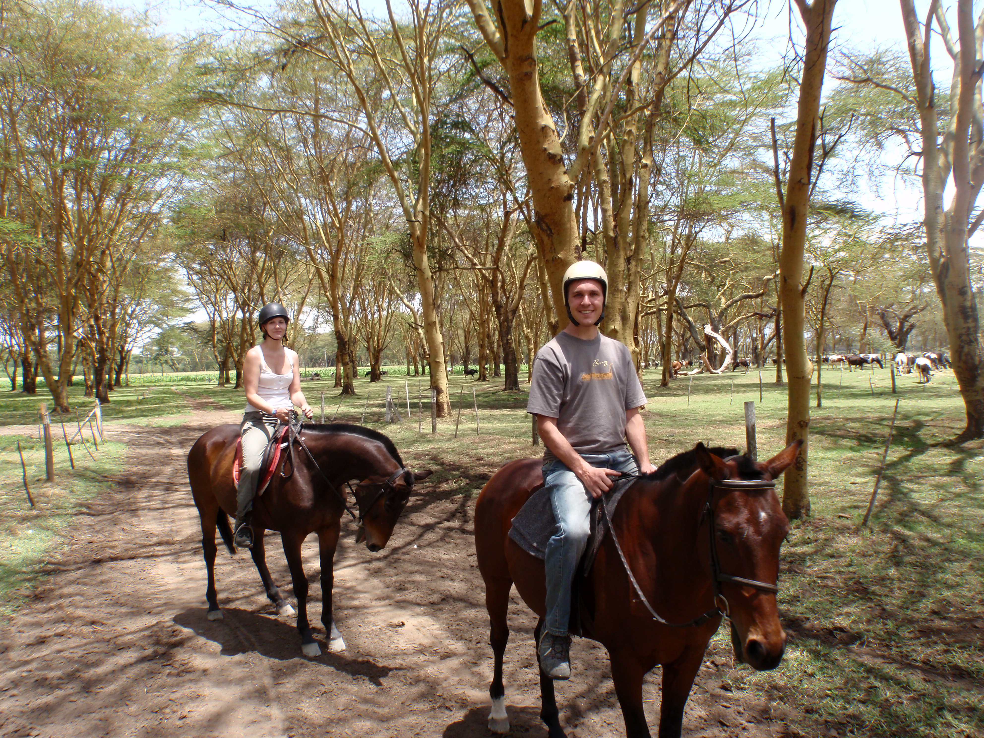 2. Riding to the Wild: Exploring ⁤the Benefits and Challenges of Horseback Safaris in Masai Mara