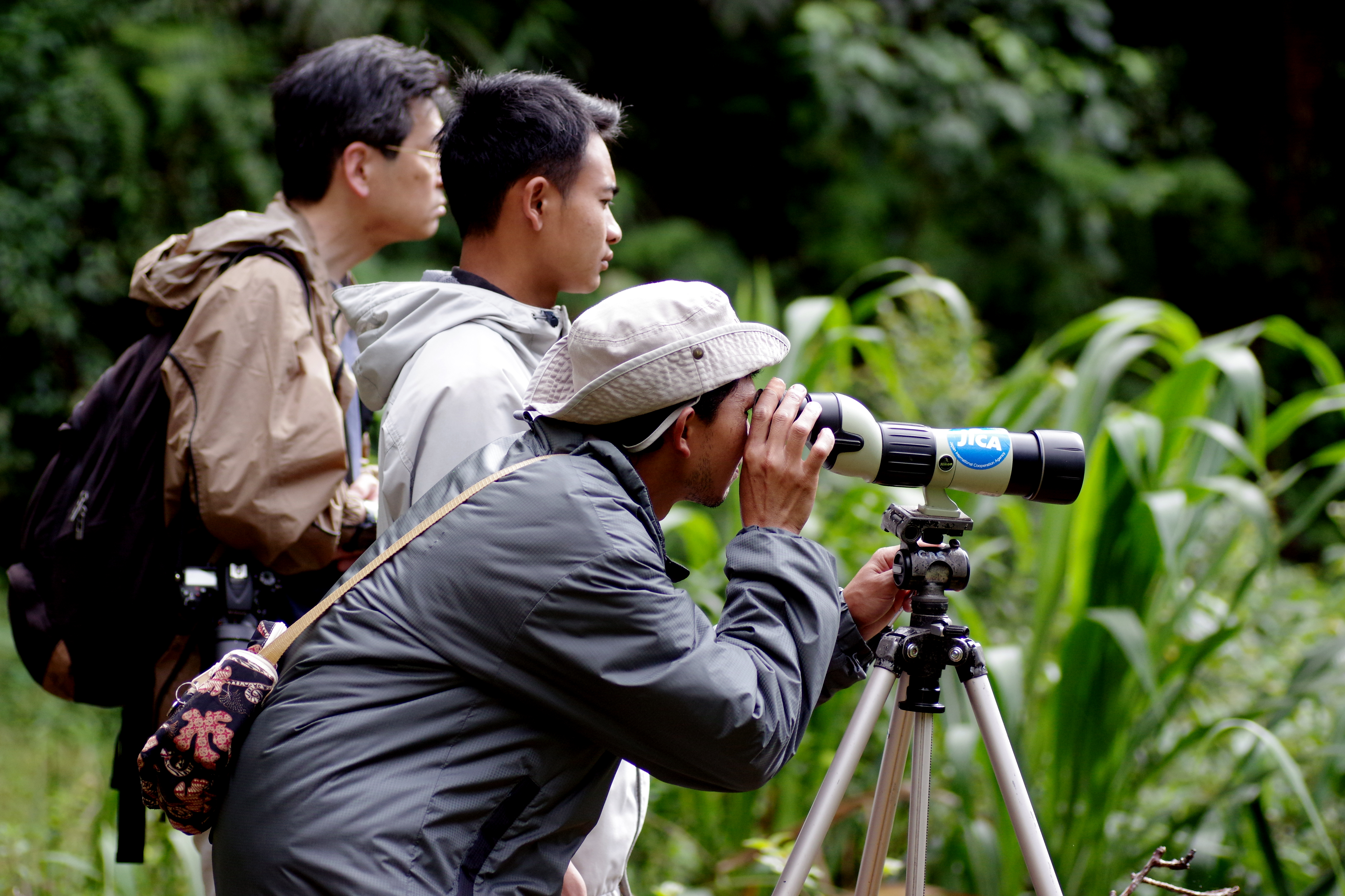 3. Birdwatching Tips: Where and How to ‌Spot the Yellow-fronted Canary in⁤ Masai Mara