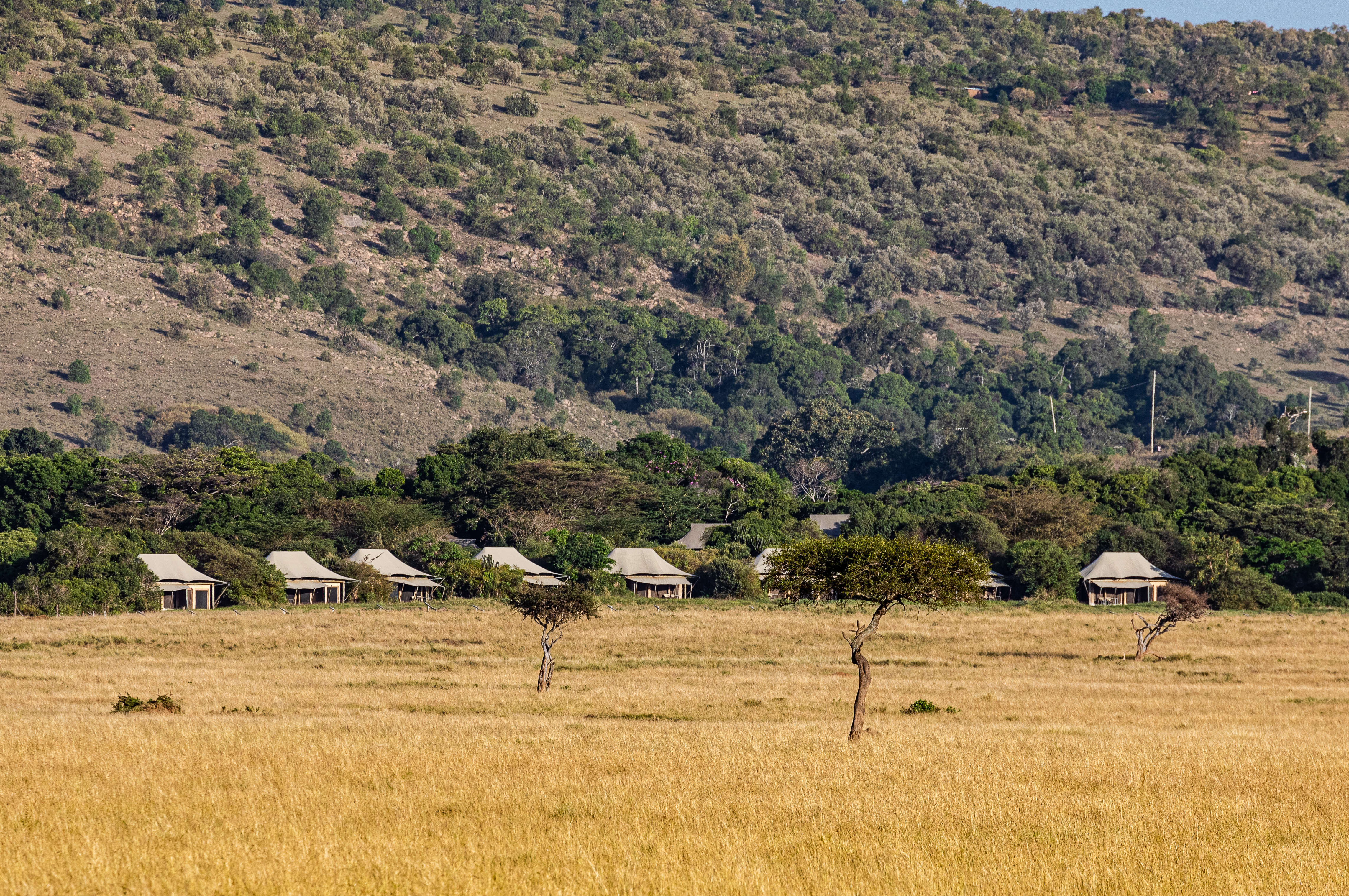 Exploring the ​Unique⁢ Geological⁤ Wonders of Maasai Mara National Park: An‍ Enthralling Journey Through Time ​and Nature