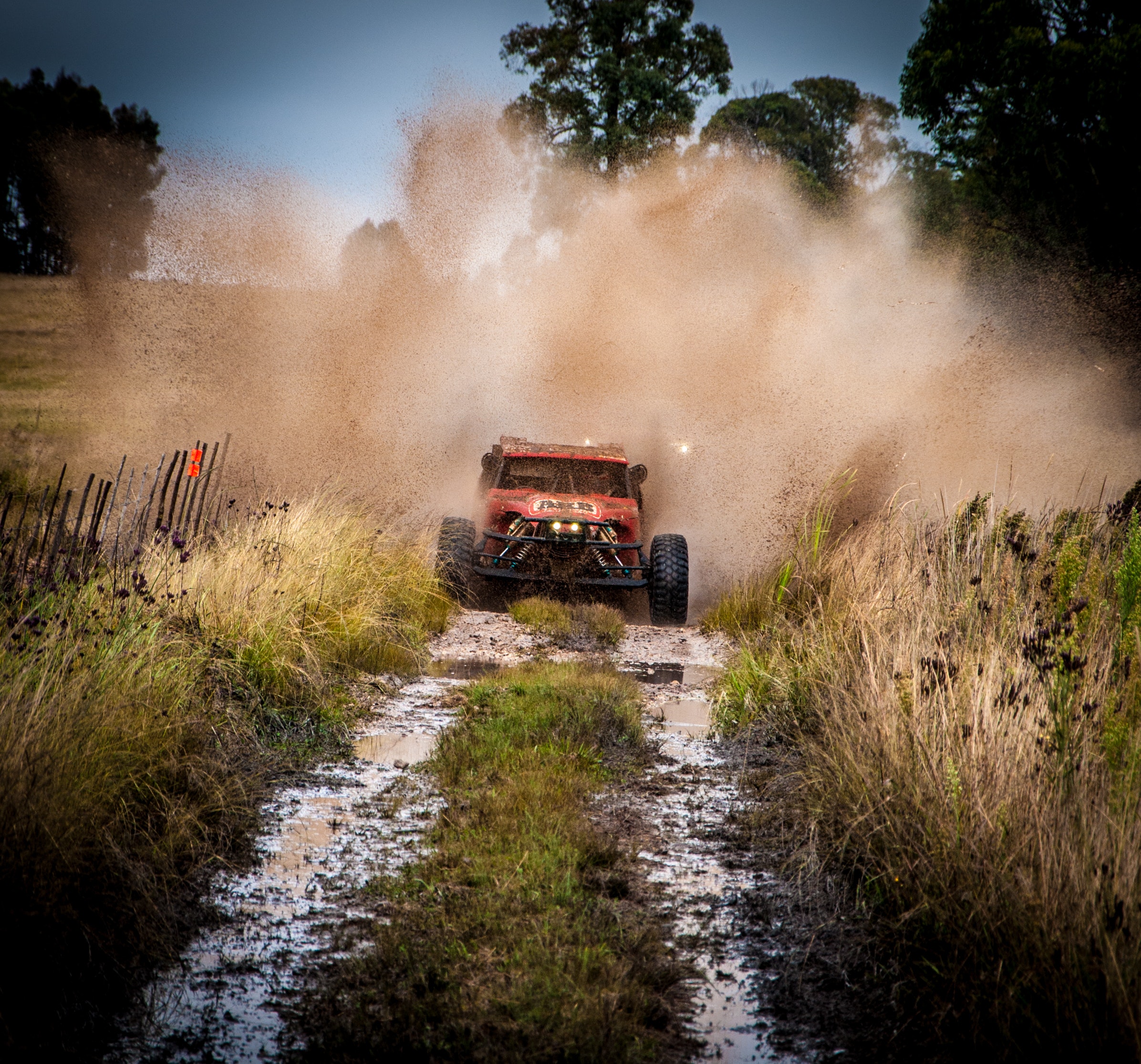 Unleashing the Adventurer Within: ⁤Off-Road⁣ Game Drives‌ and the Thrill of Wildlife Encounters