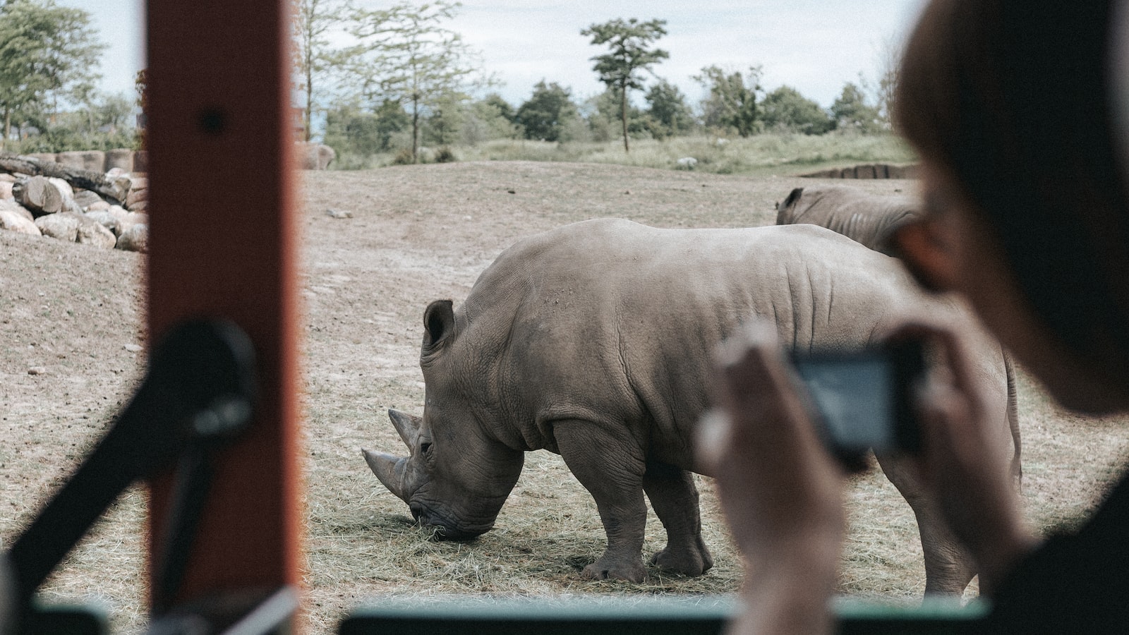 Captivating Photography: Tips for Snapping ‌Incredible Shots of ⁤the African Finfoot in Masai Mara