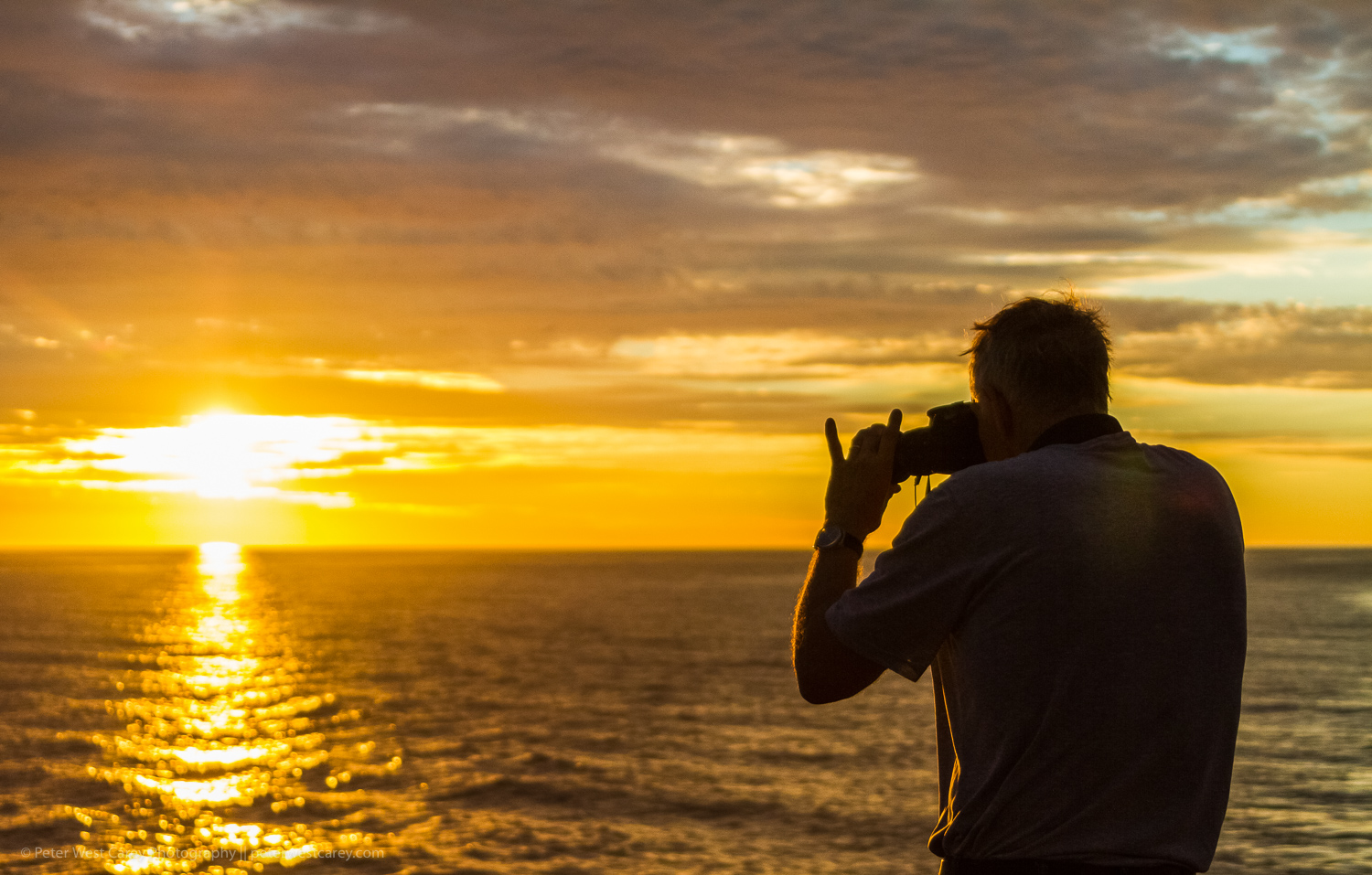 5. The Role of Tour Operators: Navigating Game Drive Options in Maasai Mara