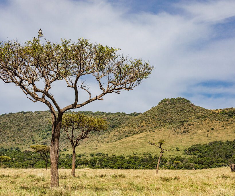 Can I request a stop during the flight to take photographs in Maasai Mara?