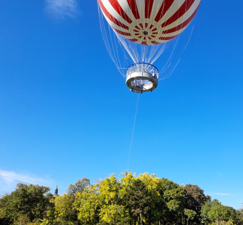 Are there chances to encounter rare or endangered species from the balloon in Maasai Mara?