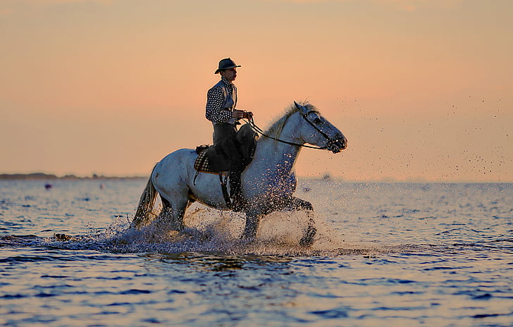 Are horseback safari guides knowledgeable about Maasai Mara’s wildlife?