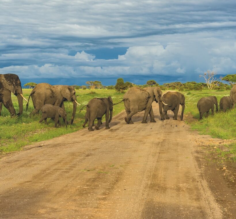 Can I ride through Maasai Mara’s open plains on a horseback safari?