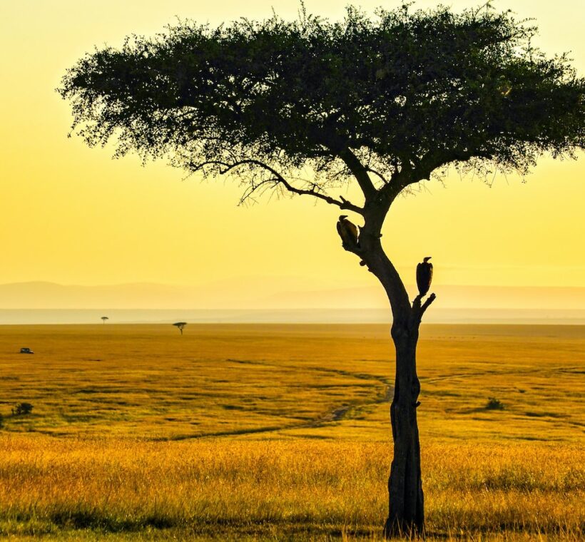 Can I see traditional Maasai communities along the riverbanks during a safari?