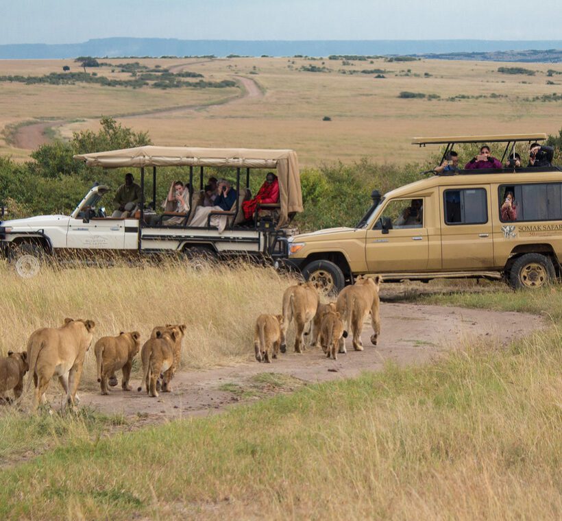 How can I contribute to Maasai Mara’s wildlife conservation efforts during my camping trip?