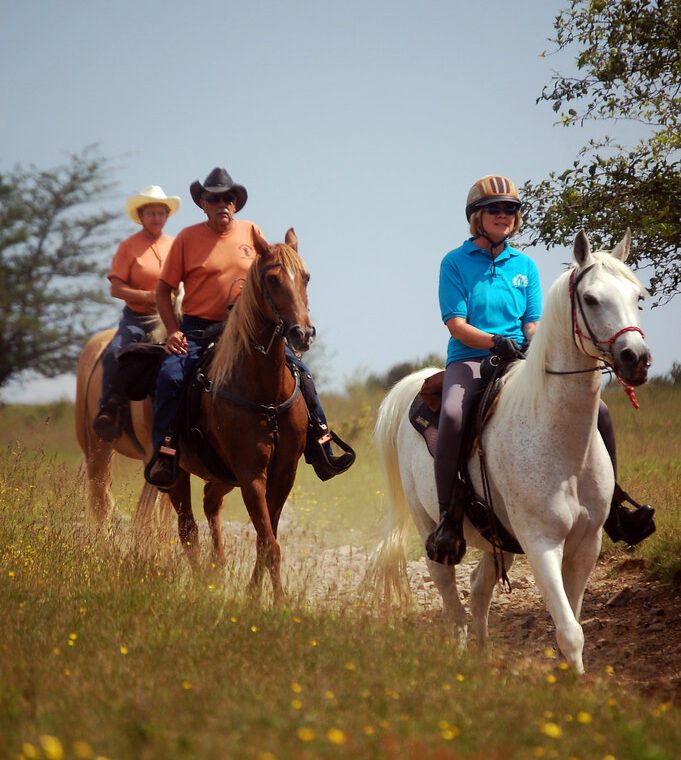 How do I book a horseback safari in Maasai Mara?