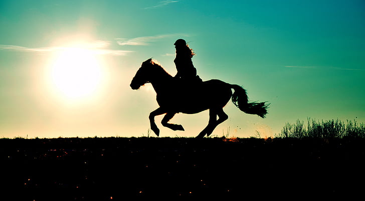 Are there horseback safari options for solo male travelers in Maasai Mara?