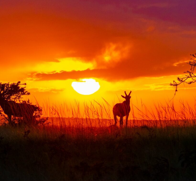 How can I engage in Maasai cultural experiences while camping in Maasai Mara?