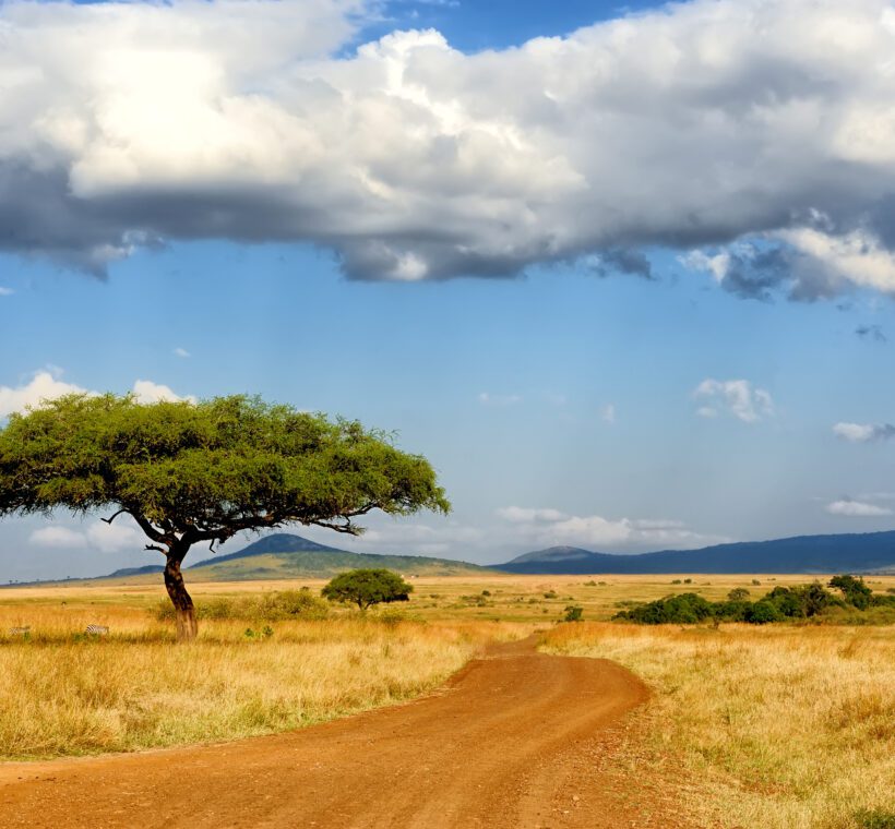 How do you coordinate with other balloons during the safari in Maasai Mara?