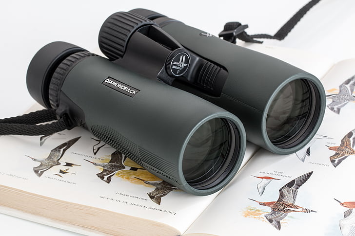 Can I rent equipment like binoculars or cameras for the game drive in Maasai Mara?