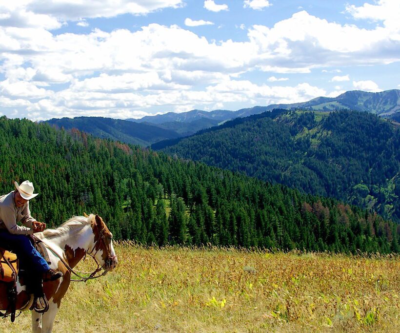 Are there any special requirements for horseback safaris in Maasai Mara?