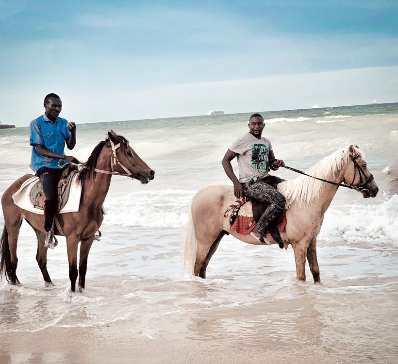 Are horseback safari horses well-trained in Maasai Mara?