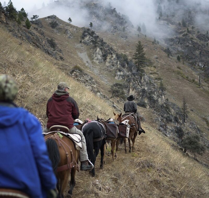 Are horseback safari tours limited to specific age groups in Maasai Mara?