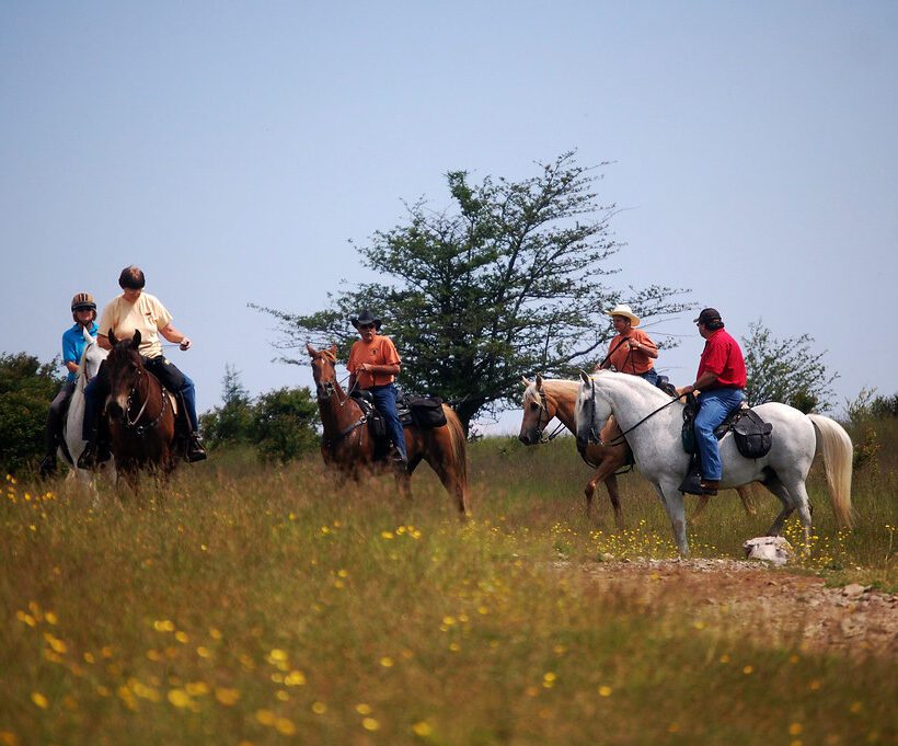 Are there any horseback trekking adventures for solo travelers in Maasai Mara?