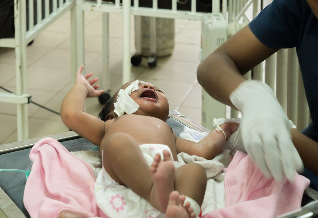 The Magic of Maternal Care: Observing Bonding Moments in Maasai Mara's Baby Animal Haven