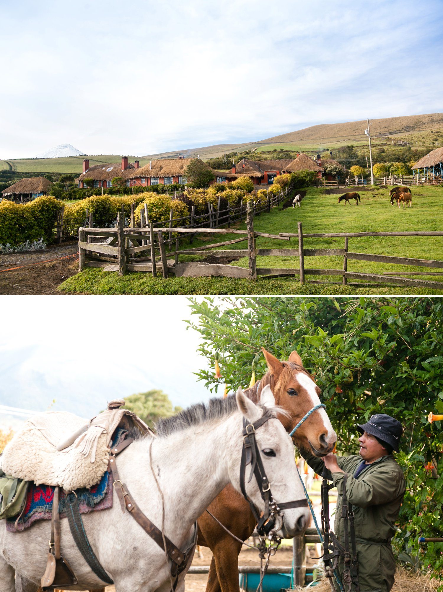 5. Enhancing the Safari Experience: Recommendations for Selecting a Knowledgeable Horseback Safari Guide in Maasai Mara