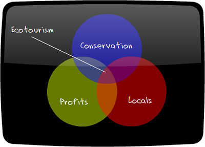 6. ⁢Empowering Ecotourism: Supporting Environmental Conservation in Maasai ​Mara